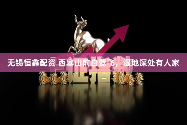 无锡恒鑫配资 西塞山前白鹭飞，湿地深处有人家
