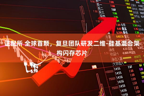 证配所 全球首颗，复旦团队研发二维-硅基混合架构闪存芯片