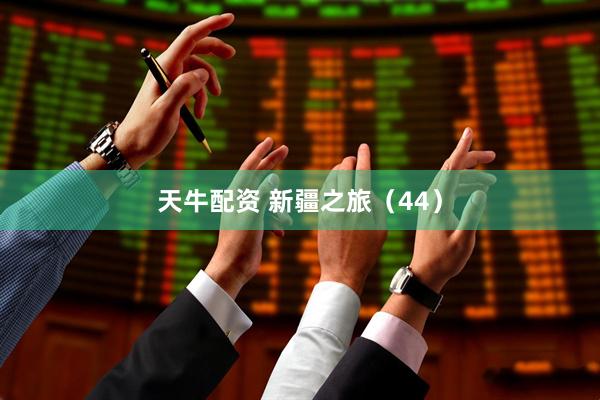 天牛配资 新疆之旅（44）